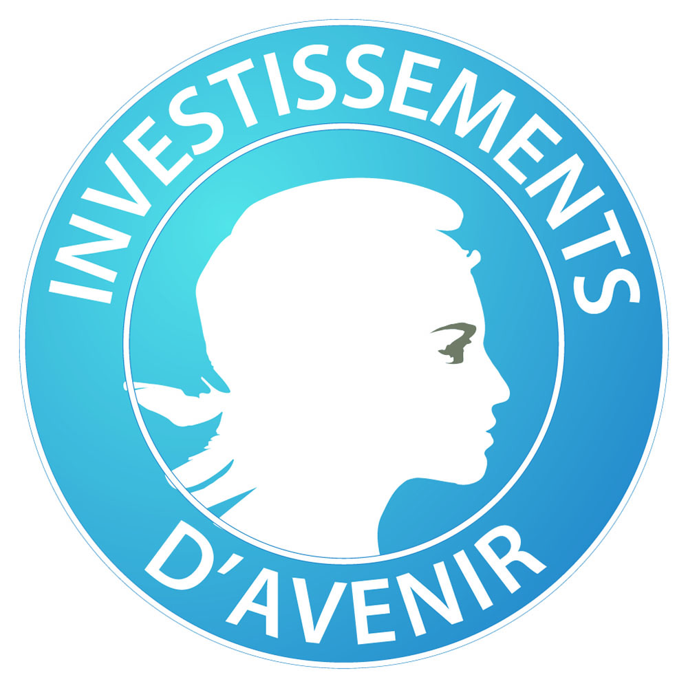 Investissements_d'avenir_-_logo.jpeg